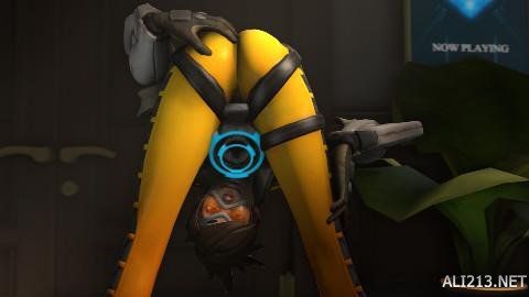 也体现了新 也体现了新